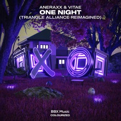 One Night (Triangle Alliance Reimagined)