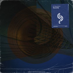 Raveship