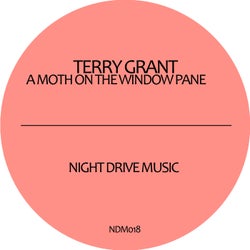A Moth On the Window Pane
