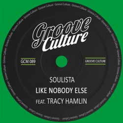 Like Nobody Else (feat. Tracy Hamlin)