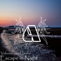 Escape in Night