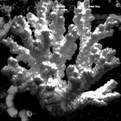 Free You - Extended Mix