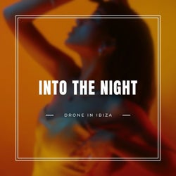 Into The Night