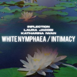 White Nymphaea / Intimacy