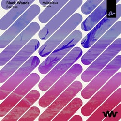 Barrens (Extended Mix)