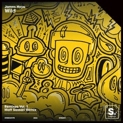 Wild (Matt Sassari Extended Remix)