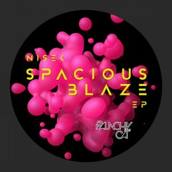Spacious Blaze EP