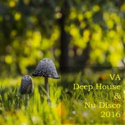 Deep House & Nu Disco 2016