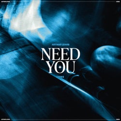 Need You  (Extended Mix)