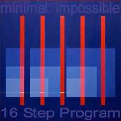 16 Step Program