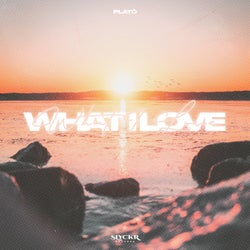 What I Love (Extended Mix)