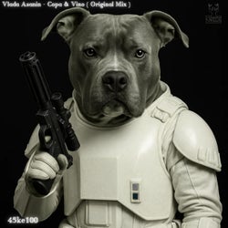 Copa & Vino