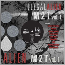 M 2 T Volume 1