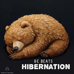 Hibernation