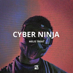 Cyber Ninja