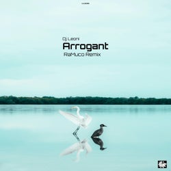 Arrogant (RaMuco Remix)