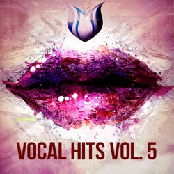 Vocal Hits, Vol. 5
