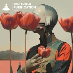 Purification