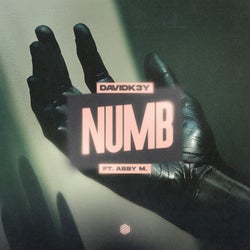 Numb (Extended Mix)