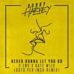 Never Gonna Let You Go (Dots Per Inch Remix)