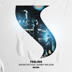 Feeling (feat. Sonny Wilson) [Extended Mix]