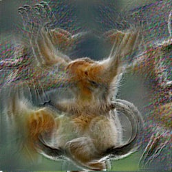 Funky Monkey