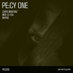PE:CY ONE