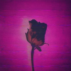 Middle East Nights Remixes