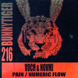 Pain / Numeric Flow