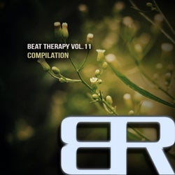 Beat Therapy, Vol. 11 Compilation