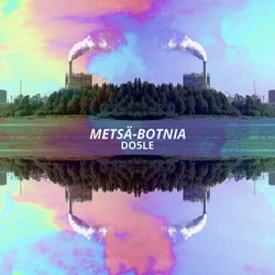 Metsa-botnia