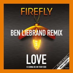 Love Is Gonna Be On Your Side - Ben Liebrand Remix