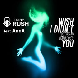 Wish I Didn't Miss You (feat. AnnA)