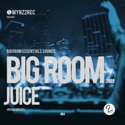 Big Room Juice 2022 (Big Room Essentials Sounds)