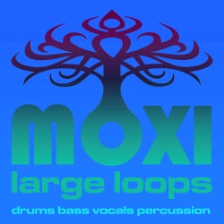 Vortex Loopy Loops Volume 14