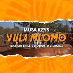 Vula Mlomo