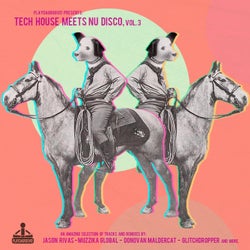 Tech House Meets Nu Disco, Vol. 3