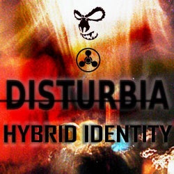 Hybrid identity