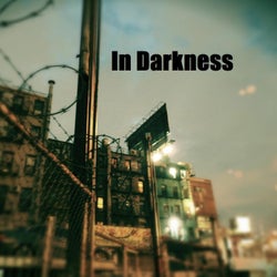 In Darkness