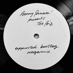 Approved Bootleg Megamix (Benny Benassi Presents The Biz)
