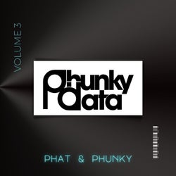 Phat & Phunky, Vol.3