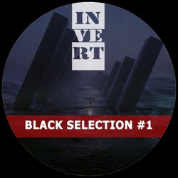 Black Selection, Vol. 1