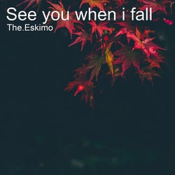 See You When I Fall