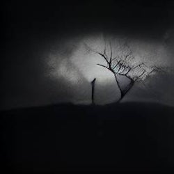 Night Creatures