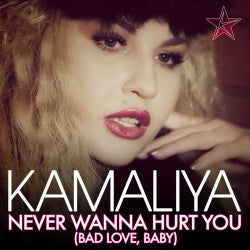 Never Wanna Hurt You (Bad Love, Baby) (Remixes)