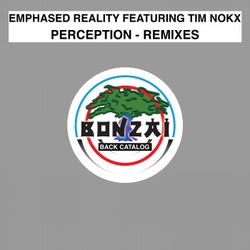 Perception - Remixes