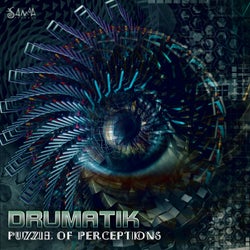 Puzzle of Perceptions