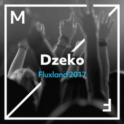 Fluxland 2017