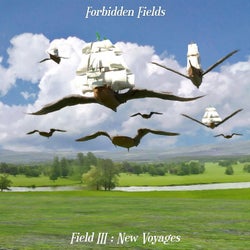 Field III: New Voyages