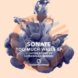 Too Much Walls EP